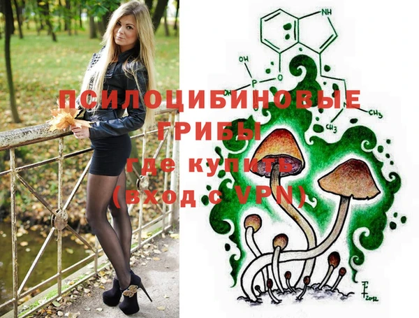 гидра Алзамай
