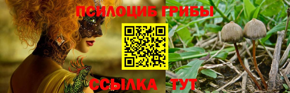 Галлюциногенные грибы ЛСД Сосновый Бор